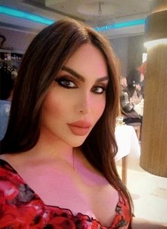 Tala Lebanese Transsexual Escort In Frankfurt