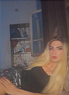 Talaa22cm - Transsexual escort in Beirut Photo 10 of 12