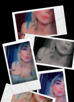 Talaa22cm - Acompañantes transexual in Beirut Photo 13 of 14