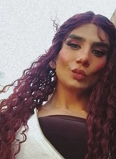 Talaa22cm - Transsexual escort in Beirut Photo 2 of 7