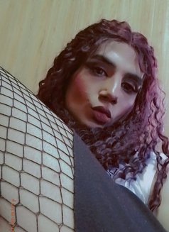 Talaa22cm - Transsexual escort in Beirut Photo 3 of 7