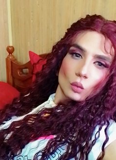 Talaa22cm - Transsexual escort in Beirut Photo 4 of 7