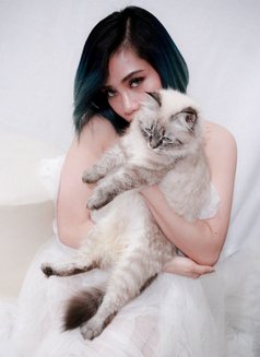 Talia - escort in Abu Dhabi Photo 3 of 3