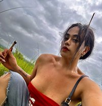 Taliah - Transsexual escort in Dubai