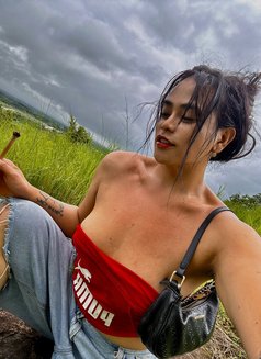 Taliah - Transsexual escort in Dubai Photo 3 of 6