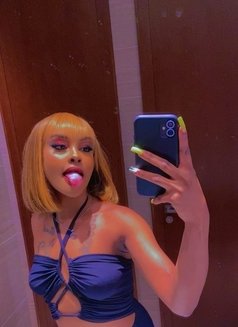 Taliah ⚜️Tee 🦋 Petite❣️ - escort in Nairobi Photo 19 of 21