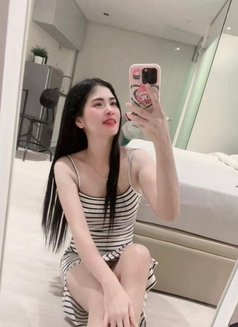 Taly Full Service Escort - escort in Prague (Praha) Photo 1 of 6