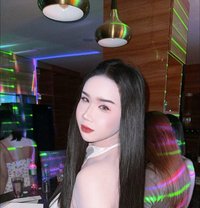 Tammy - Acompañantes transexual in Doha