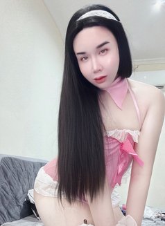 Tammy - Transsexual escort in Doha Photo 6 of 8
