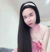 Tammy - Transsexual escort in Doha
