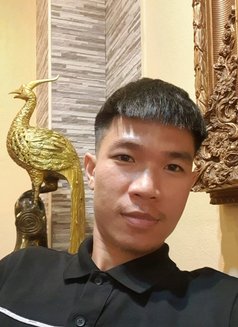Tan - Male escort in Phuket Photo 1 of 3