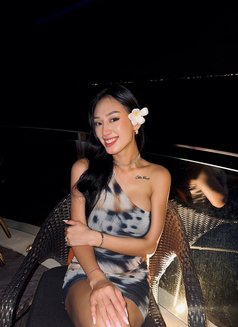 Tanara - escort in Bali Photo 7 of 11
