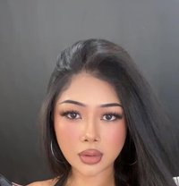 Tangmo - escort in Phuket Photo 6 of 6