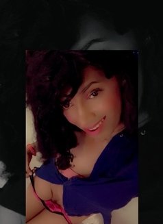 Tania Lopez - Spicy boobs - Acompañantes transexual in Colombo Photo 4 of 23