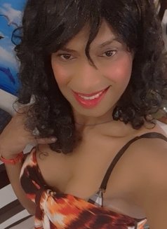 Tania Lopez - Spicy boobs - Acompañantes transexual in Colombo Photo 20 of 23