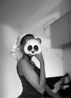 Tania - escort in Jaipur Photo 1 of 3