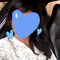 Tanisha Singh - escort in Navi Mumbai Photo 4 of 5