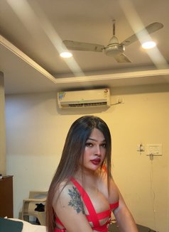Tanisha(Tani)Top shemale - Transsexual escort in Kolkata Photo 28 of 28