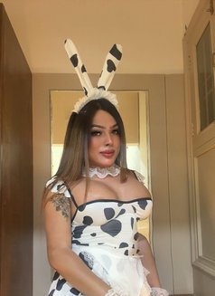 Tanisha(Tani)Top shemale - Acompañantes transexual in Jaipur Photo 17 of 28