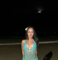 Tanny - Acompañantes transexual in Krabi