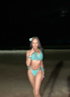 Tanny - Transsexual escort in Krabi Photo 3 of 4