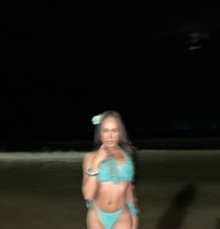 Tanny - Acompañantes transexual in Krabi