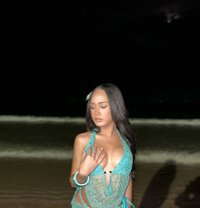 Tanny - Transsexual escort in Krabi