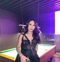 Thailand Ladyboy - Transsexual escort in Al Manama Photo 13 of 20