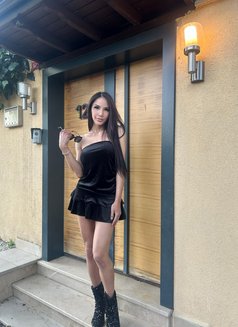 TanTanThailand good sex - Transsexual escort in İstanbul Photo 12 of 15