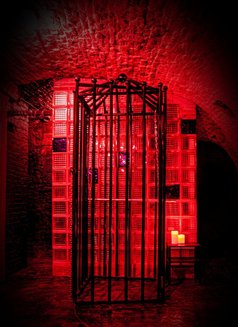 Tantra Temptations - escort agency in Brussels Photo 1 of 11