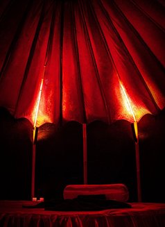 Tantra Temptations - escort agency in Brussels Photo 5 of 11