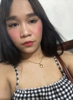Tanya - Transsexual escort in Manila Photo 3 of 5
