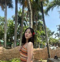 Tanya - Transsexual escort in Manila