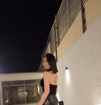Tanya - Transsexual escort in Riyadh