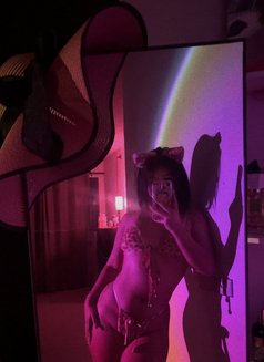 Tanya - escort in Phuket Photo 10 of 14