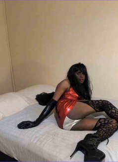 Tanya3550 - Transsexual escort in London Photo 1 of 8