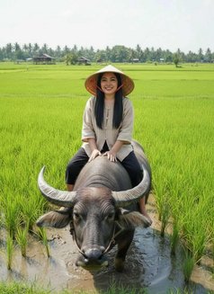 Tara Cool From Thailand - escort in Riyadh Photo 18 of 22