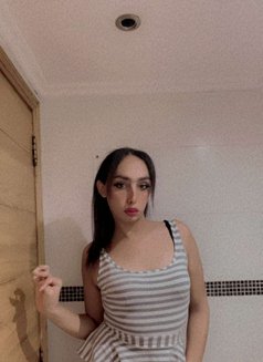 Tara - Acompañantes transexual in Beirut Photo 2 of 7