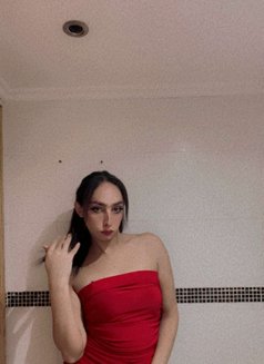 Tara - Acompañantes transexual in Beirut Photo 6 of 7