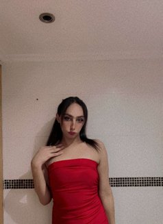 Tara - Acompañantes transexual in Beirut Photo 7 of 7