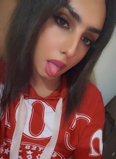 Tara - Transsexual escort in Beirut Photo 9 of 11