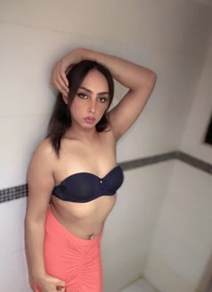 Tara - Acompañantes transexual in Beirut Photo 10 of 12