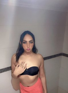 Tara - Acompañantes transexual in Beirut Photo 11 of 12