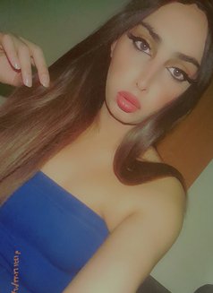 Tara - Transsexual escort in Beirut Photo 4 of 7