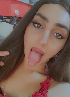 Tara - Acompañantes transexual in Beirut Photo 11 of 11