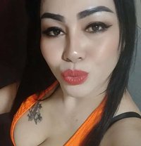 Tara New Thai Lady, Do Anal - escort in Muscat