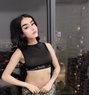 Taraf - Acompañantes transexual in Kuala Lumpur Photo 1 of 6