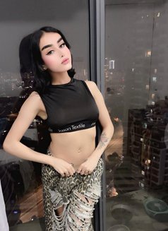 Taraf - Acompañantes transexual in Kuala Lumpur Photo 1 of 6