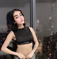 Taraf - Acompañantes transexual in Kuala Lumpur