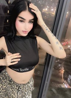 Taraf - Acompañantes transexual in Kuala Lumpur Photo 4 of 6